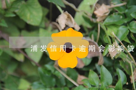 浦发信用卡逾期会影响贷后管理 浦发信用卡逾期会影响贷后管理