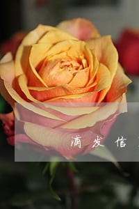 浦发信用卡逾期会打家人电话吗 浦发信用卡逾期会打家人电话吗