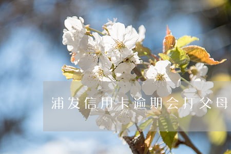 浦发信用卡逾期会打父母电话吗
