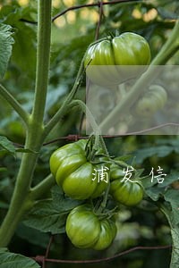 浦发信用卡逾期会找上门吗 浦发信用卡逾期会找上门吗