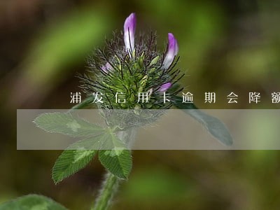 浦发信用卡逾期会降额 浦发信用卡逾期会降额