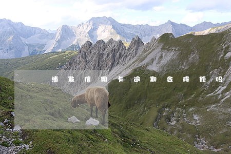 浦发信用卡逾期会降额吗 浦发信用卡逾期会降额吗