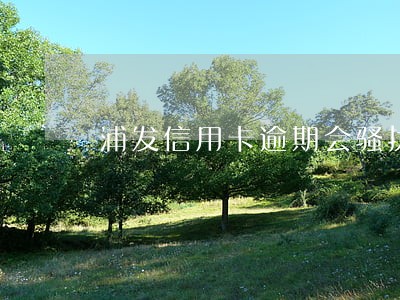 浦发信用卡逾期会骚扰家人吗