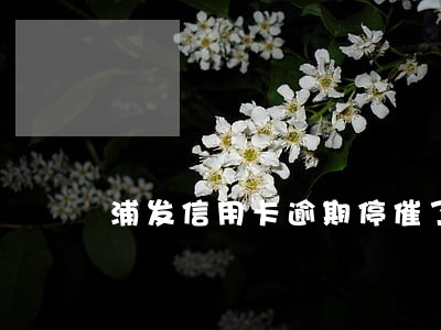 浦发信用卡逾期停催了