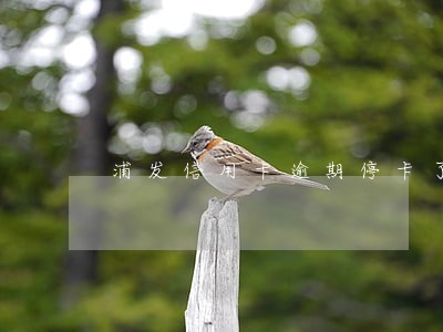 浦发信用卡逾期停卡了