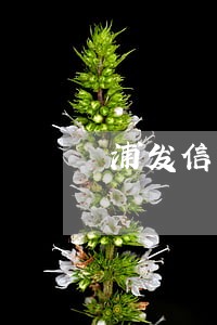 浦发信用卡逾期停卡了还能用吗