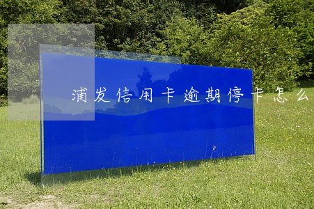 浦发信用卡逾期停卡怎么开