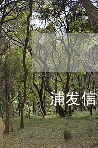 浦发信用卡逾期催款短信