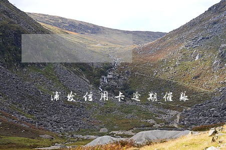 浦发信用卡逾期催账