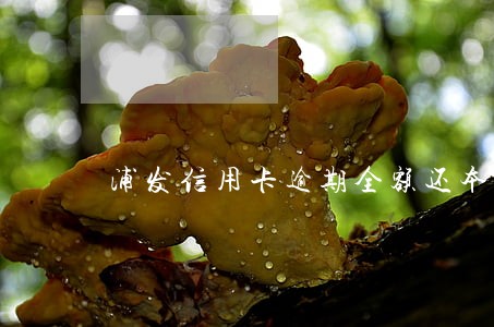 浦发信用卡逾期全额还本金 浦发信用卡逾期全额还本金