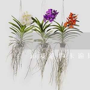 浦发信用卡逾期全额还款吗 浦发信用卡逾期全额还款吗