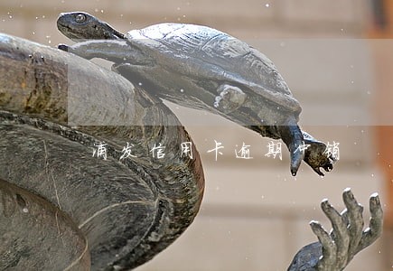 浦发信用卡逾期冲销