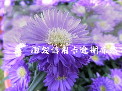 浦发信用卡逾期冻结开卡技巧