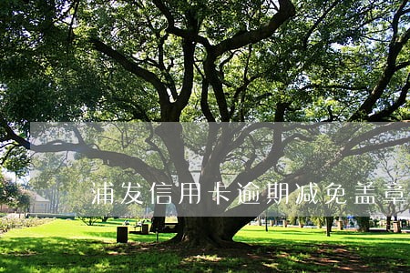 浦发信用卡逾期减免盖章