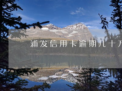 浦发信用卡逾期几十万