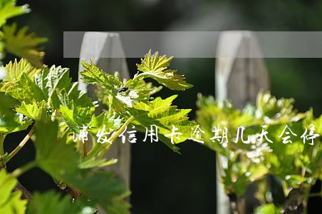 浦发信用卡逾期几天会停卡