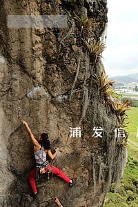 浦发信用卡逾期几天会怎么样