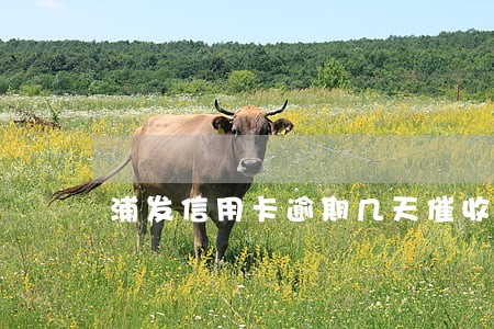 浦发信用卡逾期几天催收