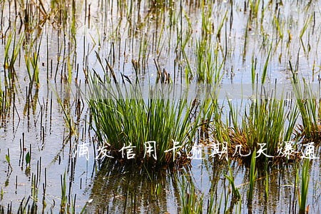 浦发信用卡逾期几天爆通讯录 浦发信用卡逾期几天爆通讯录