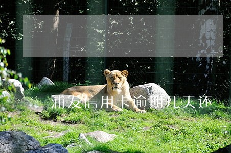 浦发信用卡逾期几天还 浦发信用卡逾期几天还