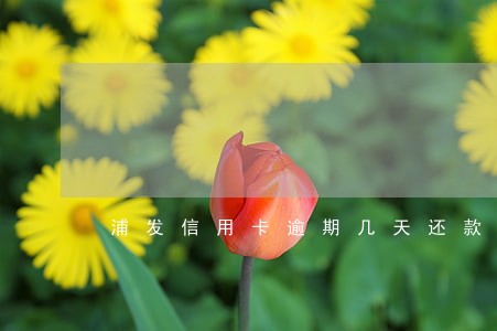浦发信用卡逾期几天还款上征信