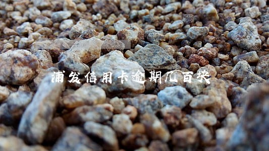 浦发信用卡逾期几百块 浦发信用卡逾期几百块