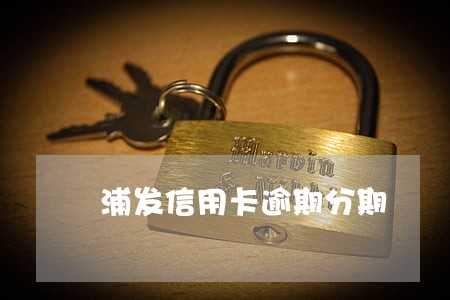 浦发信用卡逾期分期