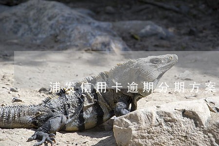 浦发信用卡逾期分期方案分享 浦发信用卡逾期分期方案分享