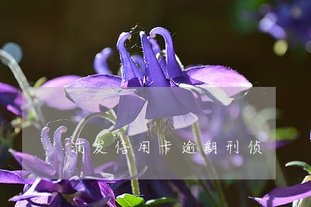 浦发信用卡逾期刑侦 浦发信用卡逾期刑侦