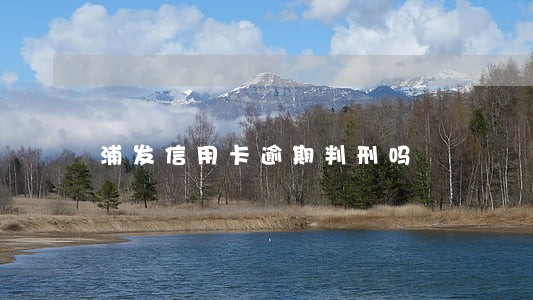 浦发信用卡逾期判刑吗