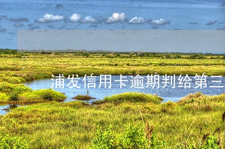 浦发信用卡逾期判给第三方来收 浦发信用卡逾期判给第三方来收