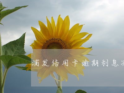 浦发信用卡逾期利息减免 浦发信用卡逾期利息减免