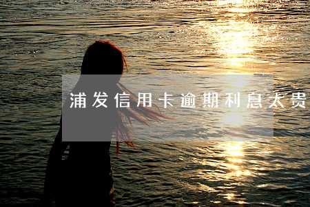 浦发信用卡逾期利息太贵