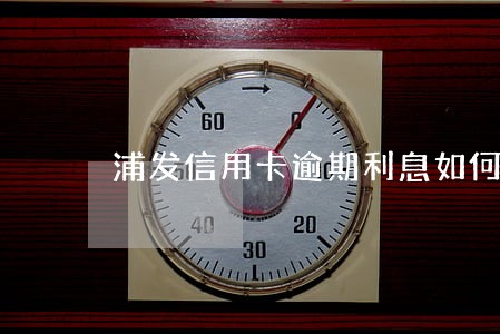 浦发信用卡逾期利息如何减免