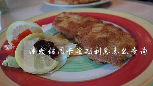 浦发信用卡逾期利息怎么查询 浦发信用卡逾期利息怎么查询