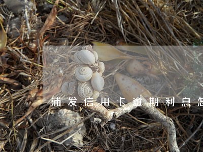 浦发信用卡逾期利息怎么要回 浦发信用卡逾期利息怎么要回