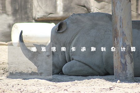 浦发信用卡逾期利息计算器 浦发信用卡逾期利息计算器
