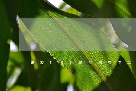 浦发信用卡逾期利息过高怎样还 浦发信用卡逾期利息过高怎样还