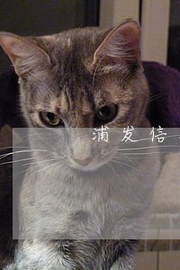 浦发信用卡逾期刷不出 浦发信用卡逾期刷不出