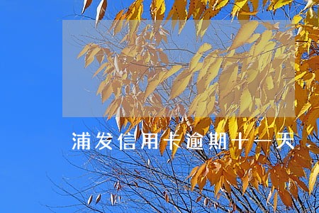 浦发信用卡逾期十一天 浦发信用卡逾期十一天