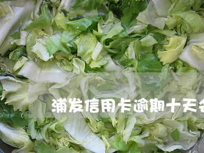 浦发信用卡逾期十天会怎么样 浦发信用卡逾期十天会怎么样