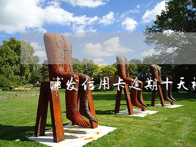浦发信用卡逾期十天被停用 浦发信用卡逾期十天被停用