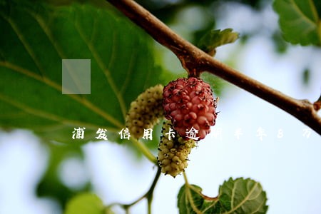 浦发信用卡逾期半年8万 浦发信用卡逾期半年8万