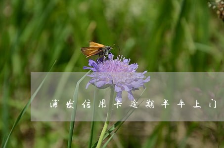 浦发信用卡逾期半年上门催收 浦发信用卡逾期半年上门催收