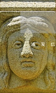 浦发信用卡逾期半年多了怎么办