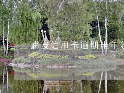 浦发信用卡逾期半年怎么还 浦发信用卡逾期半年怎么还