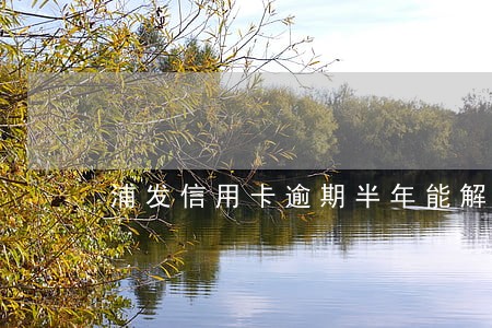 浦发信用卡逾期半年能解冻吗 浦发信用卡逾期半年能解冻吗