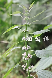 浦发信用卡逾期协商了还有利息 浦发信用卡逾期协商了还有利息