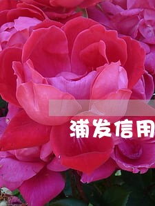 浦发信用卡逾期协商吗 浦发信用卡逾期协商吗