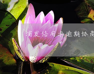 浦发信用卡逾期协商成功